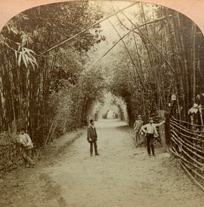 El Mardyke, Cork, Irlanda de B. W. Kilburn
