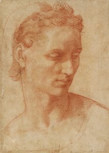Cabeza de una mujer, principios del siglo XVI de Baccio Bandinelli