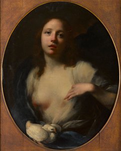 Pintura de una joven con paloma blanca (óleo sobre lienzo)