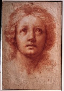 Estudio de la cabeza de una mujer, la mirada fija se dirige hacia arriba de Baldassare  Franceschini
