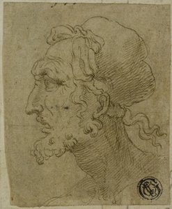 Cabeza masculina de perfil de Baldassare Peruzzi