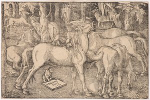 Grupo de siete caballos