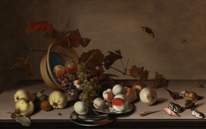 Bodegón de frutas con cesta de mimbre, mejillones y mariposa, primera mitad del siglo XVII de Balthasar van der Ast