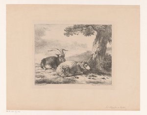 cabra y oveja de Balthasar Paul Ommeganck