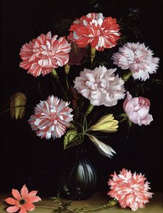 Estudio floral: Claveles en un jarrón de Balthasar van der Ast