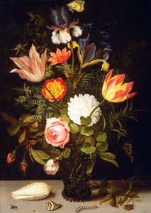 Naturaleza muerta de flores en un Roemer con dos conchas