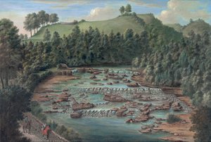 Cataratas de Aysgarth, Yorkshire