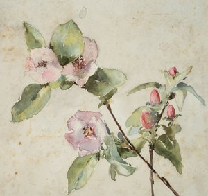 Ramas de flores rosas (acuarela sobre papel)