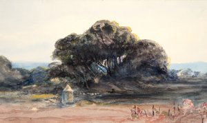 Paisaje: Pino y torrecilla (acuarela y grafito sobre papel de trama ) de Barbara Leigh Smith Bodichon