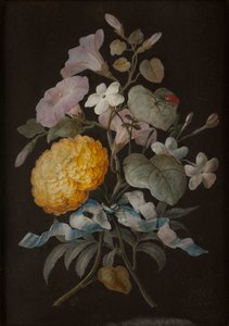 Conjunto de cuatro naturalezas muertas con mariposas de Barbara Regina Dietzsch