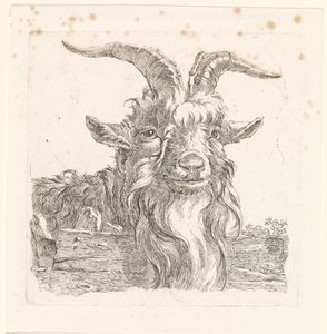 Cabeza de ciervo de Barend Hendrik Thier