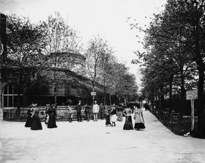 Zoológico de Lincoln Park, Chicago, Illinois, EE.UU., c.1900 (foto en b/n) de Barnes and Crosby