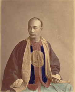Soldado de la línea, 1870s de Baron Raimund von Stillfried