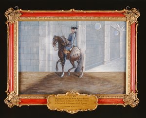 No. 20 Un caballo gris moteado de la Escuela Española de Equitación realizando el paso de doma Volte
