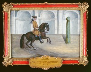 No. 33 Un caballo español de la Escuela Española de Equitación realizando un movimiento de doma