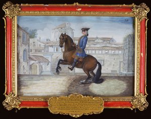 No. 35 Un caballo bayo de Berbería de la Escuela Española de Equitación realizando un movimiento de doma en la Plaza de San Marcos, Florencia de Baron Reis Eisenberg