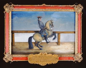No. 45 Un caballo de la Escuela Española de Equitación realizando un movimiento de doma llamado Courbette