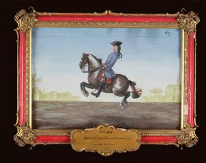 No. 49 Un caballo de la Escuela Española de Equitación realizando un movimiento de doma llamado Ballotade