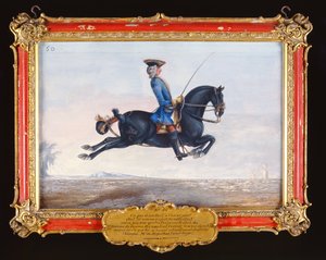 No. 50 Un caballo negro azabache llamado Curioso realizando un movimiento de doma llamado Capriole