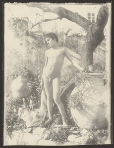 [Joven desnudo en el jardín] de Baron Wilhelm von Gloeden