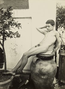 [Joven desnudo en el jardín] de Baron Wilhelm von Gloeden