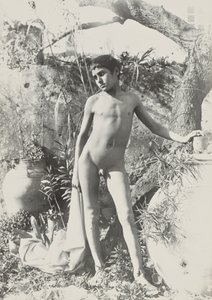 [Joven desnudo en el jardín]