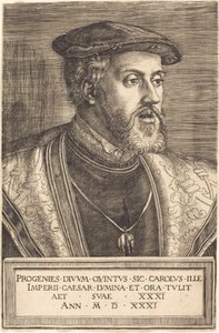 Emperador Carlos V de Barthel Beham