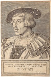 Retrato del Emperador Fernando I 1503-1564, 1531 de Barthel Beham