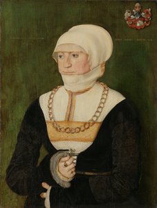 Retrato de Magdalena Pittrichin, 1528 de Barthel Beham