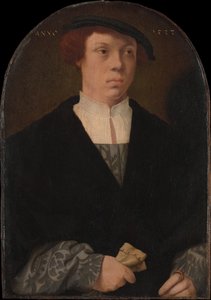 Retrato de un hombre, 1533