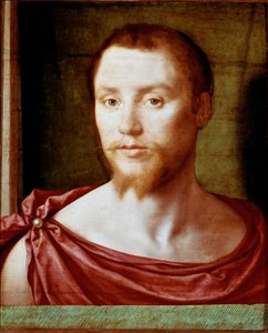 Retrato de hombre con el rostro antiguo de hombre rojo con barba de dos puntas (o de chivo), está cubierto con un taparrabos. Pintura sobre madera atribuida a Pseudo Félix Chretien (ca. 1510-1579). circa 1535-1550 Dim. 48x39 cm París, musee du Louvre - Ret de Bartholomeus (active 1518 1541) Pons