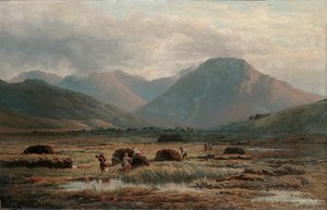 Turbera, Letterfrack, Connemara de Bartholomew Colles Watkins