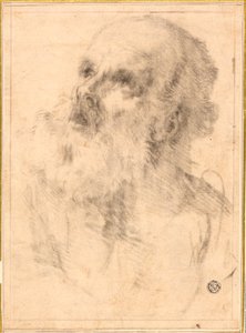 Cabeza de anciano de Bartolomé Esteban Murillo