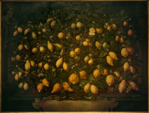Naranjas amargas, cidras y limones de Bartolomeo Bimbi