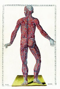 Tabulae anatomicae de Bartolomeo Eustachi