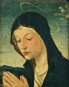 Cabeza y manos de una Virgen adoradora (fragmento), c.1477-78 (temple sobre madera de álamo) de Bartolomeo Montagna