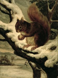 Una ardilla roja comiendo una nuez (óleo sobre cartón fresado) de Basil Bradley