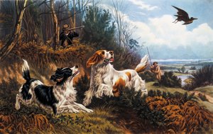 Caza de becadas de Basil Bradley