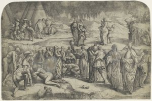 Recogiendo el maná