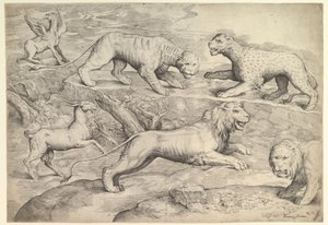 Seis animales, incluidos leones, un tigre, un leopardo, un grifo y una cabra, ca. 1530-61 de Battista Franco Veneziano