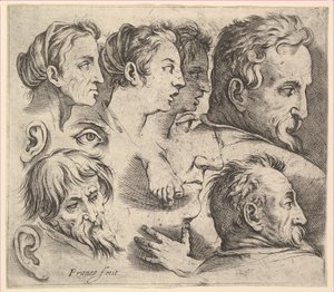 Estudios de cabezas de Battista Franco Veneziano