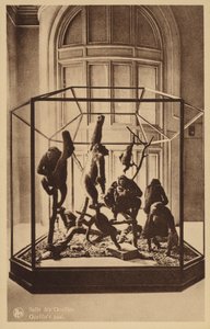 Sala de los Gorilas de Belgian Photographer
