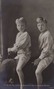 El Duque de Brabante, El Conde de Flandes, en elefante de juguete de Belgian Photographer