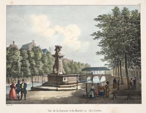 Vista de la fuente y del Mercado de trigo en Leiden, c.1895 (fotochrom) de Belgian School