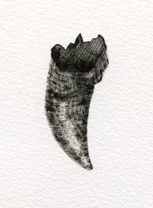 Diente felino, 2014 de Bella Larsson