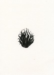 Fuego, 2017 de Bella Larsson