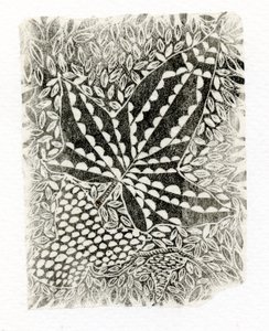 Hiedra, 2014 de Bella Larsson