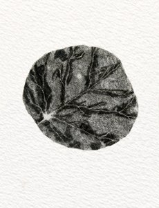 Hoja, 2014 de Bella Larsson