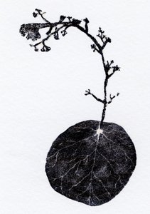 Hoja de liquen, 2014 (Grabado en madera, collage sobre papel) de Bella Larsson
