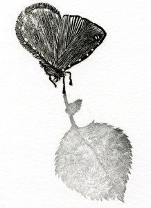 Suspenso, 2014 (Xilografía, collage sobre papel) de Bella Larsson